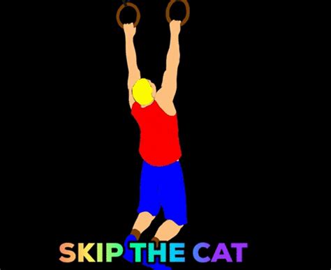 Cat Workout GIF - Find & Share on GIPHY