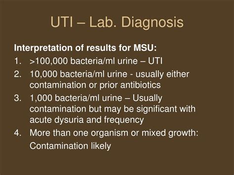 Ppt Urinary Tract Infection Powerpoint Presentation Free Download