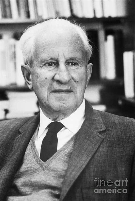 Philosopher Herbert Marcuse By Bettmann