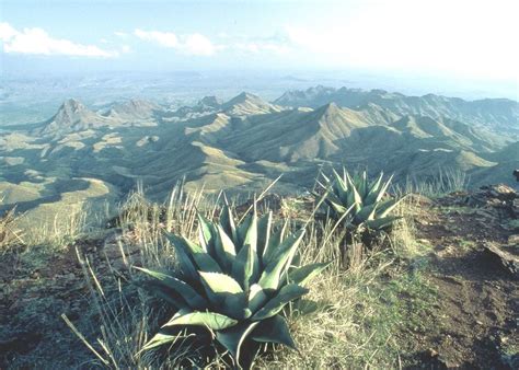 Chisos Mountains Lodge Audley Travel Uk