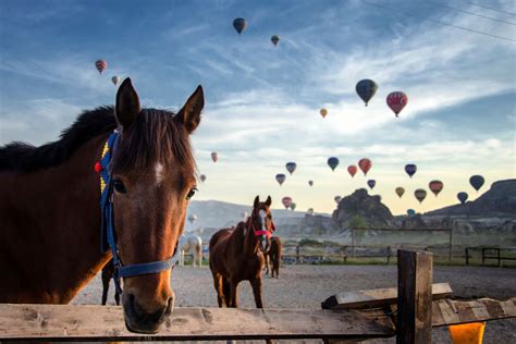 Discovering Cappadocia Authentic Experiences