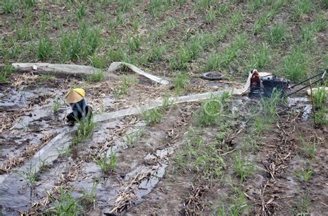 kebutuhan pengairan lahan pertanian antara foto