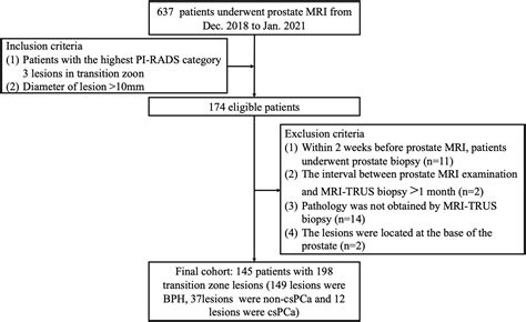 Frontiers Sub Differentiation Of Pi Rads Lesions In Tz By Advanced