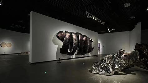 林芳璐｜第三届中国新疆国际艺术双年展 Artplus