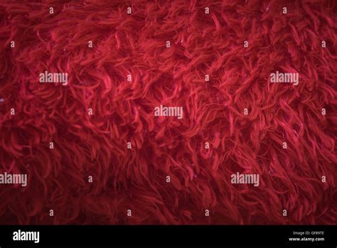 Soft Red Fur Background Texture For Furniture Material Stock Photo Alamy