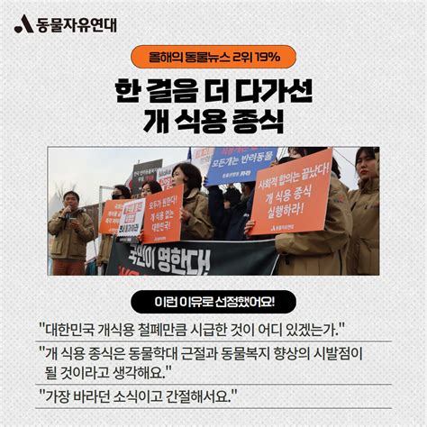 동물자유연대 동물자유연대x한국일보 2023년 올해의 동물뉴스 결과를 발표합니다