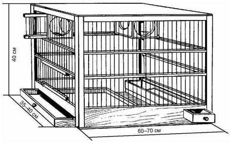 Клетка для крысы: 10 вариантов чертежей, чтобы сделать самому