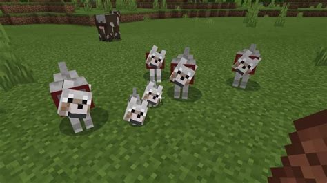 how to tame dogs in minecraft
