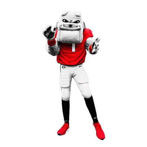 Uga Celebrating Sticker by University of Georgia for iOS & Android | GIPHY