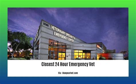 Find the Closest 24 Hour Emergency Vet Clinic Near You - Wave Sold