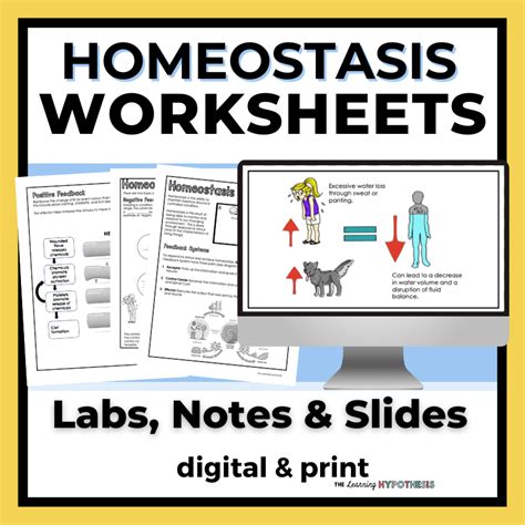 Homeostasis Notes, Slides, Lab, & Worksheet Pack - The Learning ...