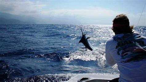 O Guia Definitivo Da Pesca Desportiva Na Ilha Da Madeira