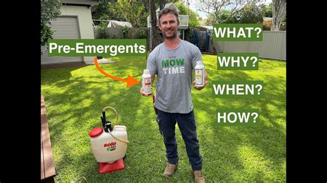 LAWN PRE EMERGENTS FOR BEGINNERS WHAT WHY WHEN HOW YouTube