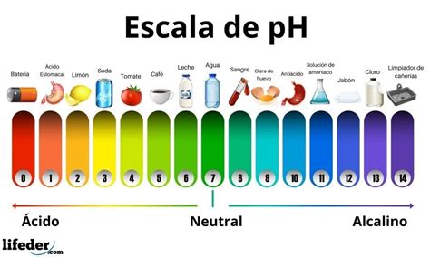 Cidos Y Bases Diferencias Caracter Sticas Ejemplos