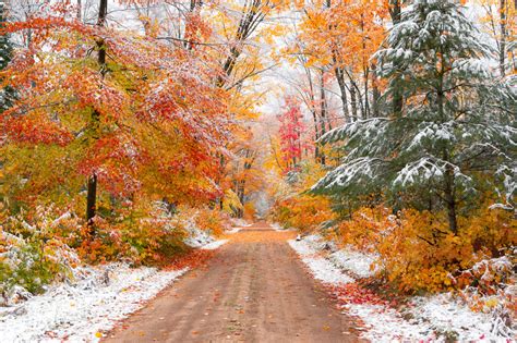 Michigan Nut Photography | Winter in Michigan