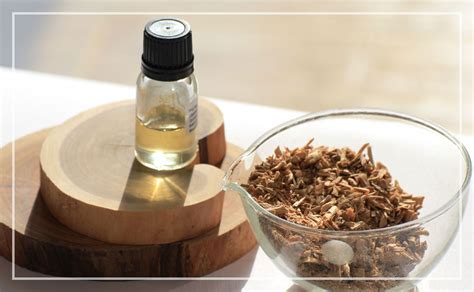 Sandelträ - Våra ingredienser - Dr. Hauschka Kosmetik – Kontrollerad ...