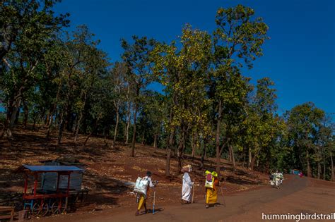 Amarkantak, a pilgrimage of clouds Amarkantak, Madhya Pradesh, India ...