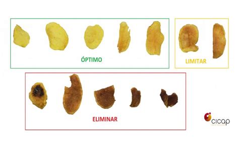 Acrilamida En Alimentos Qu Es D Nde Se Encuentra Y Riesgos