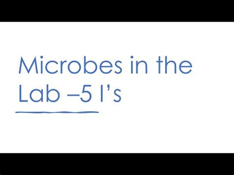 Chapter 2 Culturing Microbes In Lab YouTube