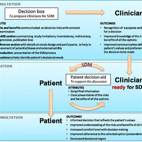 Theoretical Model Of The Decision Box Theoretical Model Of The Download Scientific Diagram