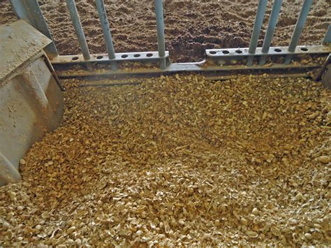 Peanut Hull Nutrition At Ben Davis Blog