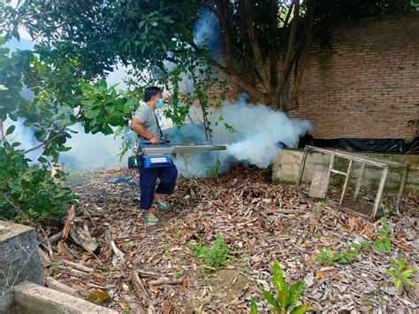 Kasus Dbd Tinggi Dinkes Tulangbawang Lakukan Fogging