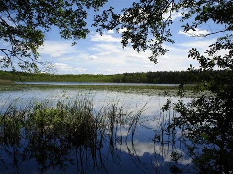 Zdj Cia Sobiborski Park Krajobrazowy Polesie Lubelskie Jezioro