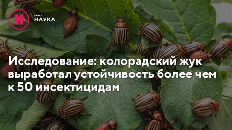 Исследование: колорадский жук выработал устойчивость более чем к 50 ...