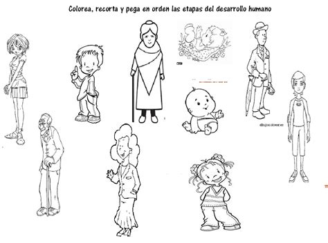 Dibujos De Etapas Del Desarrollo Humano 4 Para Colorear Para Colorear Images And Photos Finder