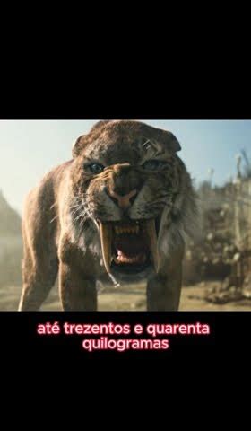 O Tigre Dente De Sabre Youtube