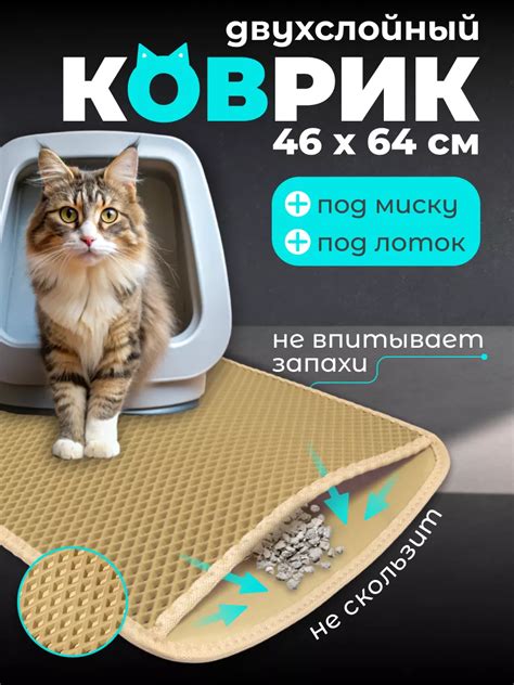 Wildberries — интернет-магазин модной одежды, обуви и аксессуаров