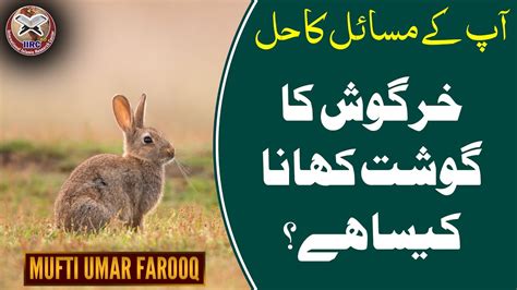 Khargosh Ka Gosht Khana Kaisa Hai Rabbit Meat Halal Or Haram In