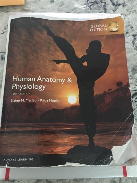 Human Anatomy And Physiology Global Edition Uk Marieb Elaine Hoehn Katja