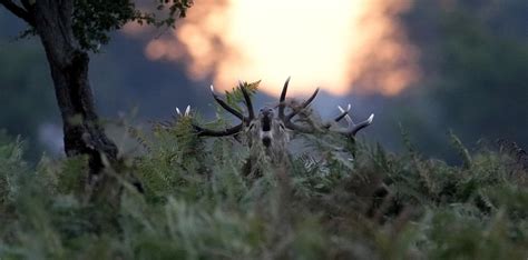 Der Tag In Rheinland Pfalz Welche Themen Am Wochenende Wichtig Sind