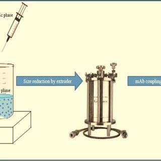 Schematic Preparation Method Of Naked And Immunoliposomes Dope