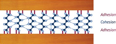 Wood Adhesives And Bonding Theory Intechopen