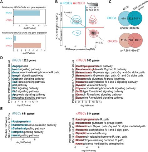 Transcriptomic And Chromatin Occupancy Profiles Define The Set Of Genes Download Scientific