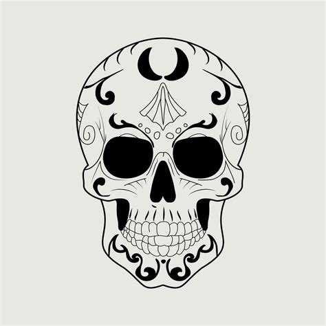 Hand Drawn Anatomical Skulls Vector Set Art 34605858 Vector Art At Vecteezy