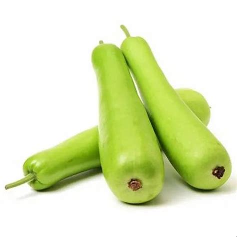 A Grade Green Bottle Gourd Lauki Dudhi Carton 5 Kg At Rs 40 Kilogram