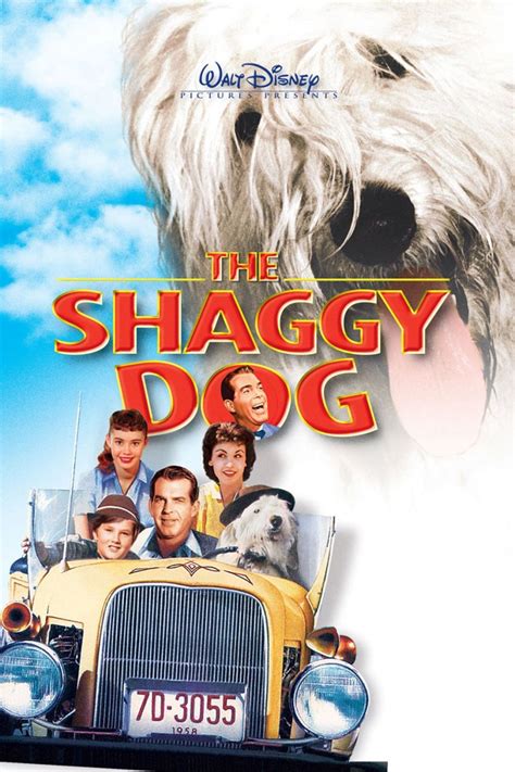 The Shaggy Dog – Disney Movies List