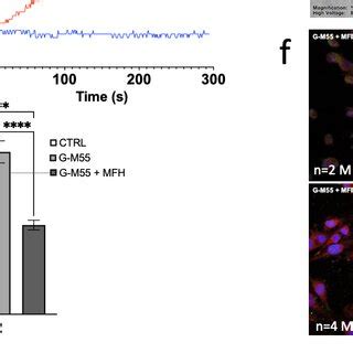 Characterization Of G M Interaction With Mda Mb Cells A Mtt