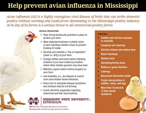 Bird Flu Symptoms In Poultry