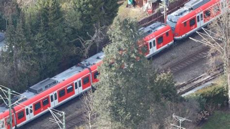 Baum stürzt auf S Bahn in München Feuerwehr evakuiert Fahrgäste