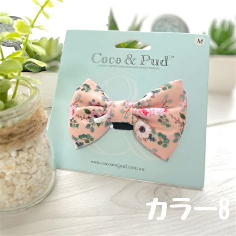 【楽天市場】cocoandpud Bowtei ボウタイ リボン 蝶ネクタイ アクセサリー 飾り おしゃれ かわいい 花柄 お揃い 首輪 ハーネス