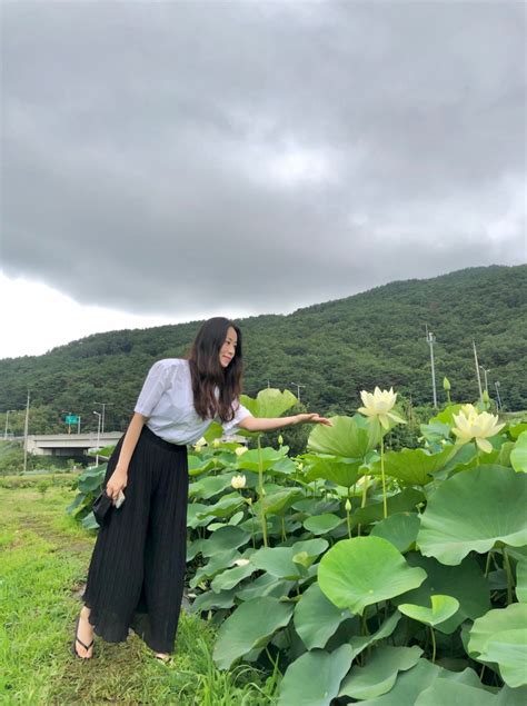 부산 기장 철마 연꽃도 보고 연잎밥도 먹고 ‘곰내연밭철마연밥 네이버 블로그