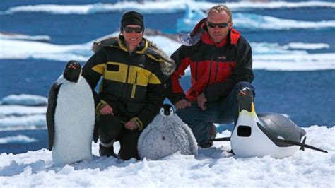 Robot Penguin Spy Cams Capture Rare Moments - ABC News