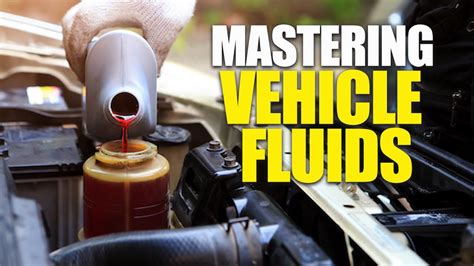 Mastering Vehicle Fluids A Comprehensive Guide To Checking And