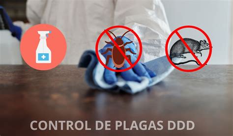 Control de plagas DDD Qué es y cómo obtenerlo Biocisal