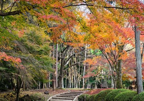 Temple Adashinonenbutsuji En Automne Kyoto Au Japon Photo Gratuite