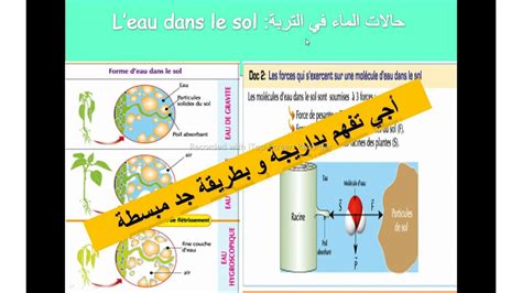 Les Facteurs Daphiques Les Diff Rentes Formes Deau Dans Le Sol